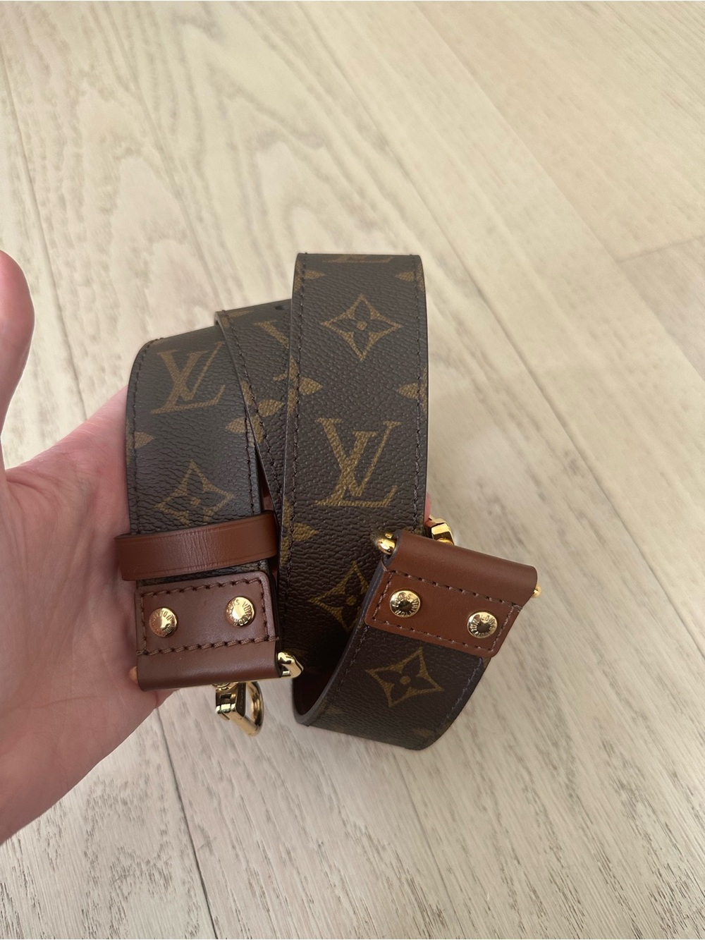 Louis Vuitton Adjustable Monogram Strap